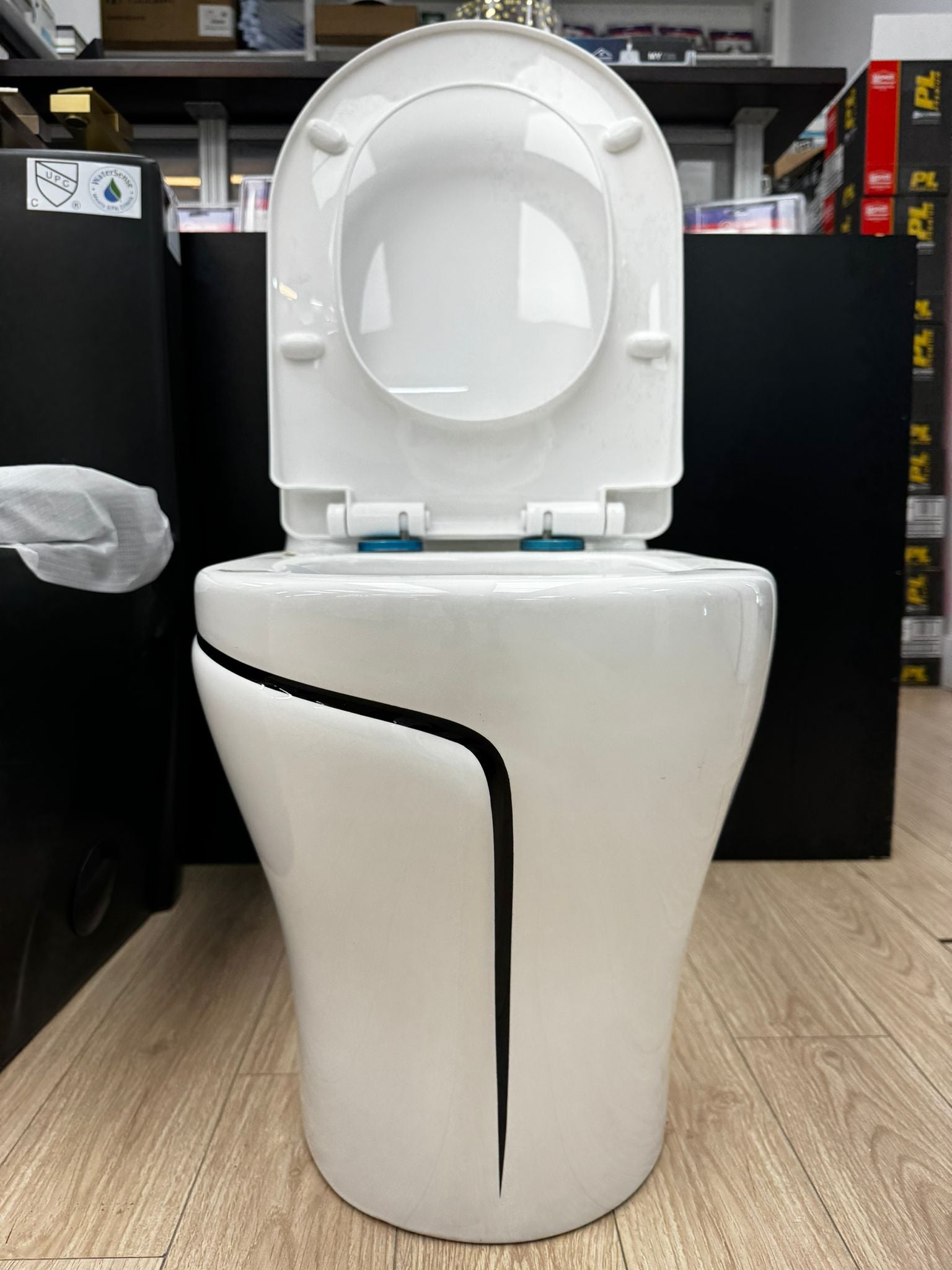 White and Black Line Toilet