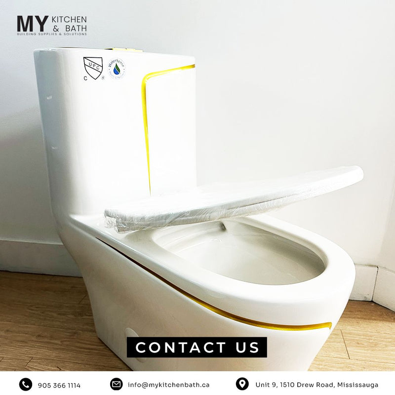 White and Gold Line Toilet