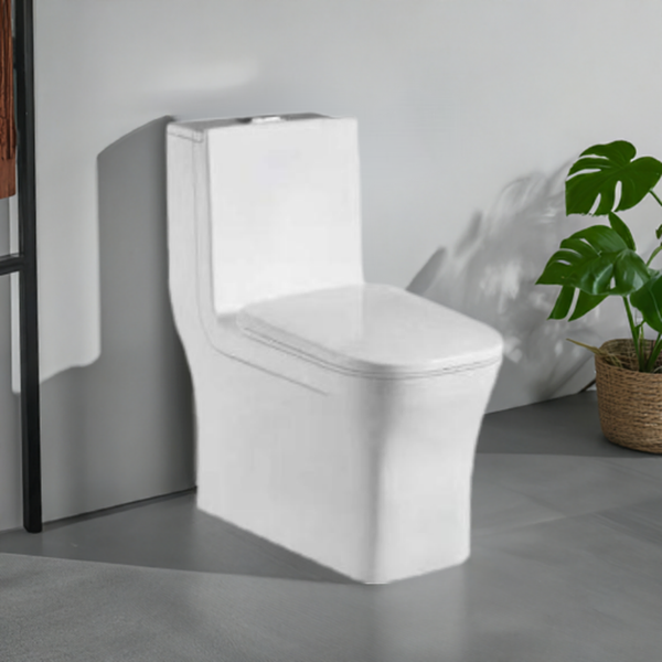 Arctic Solitude: Square One-Piece Toilet
