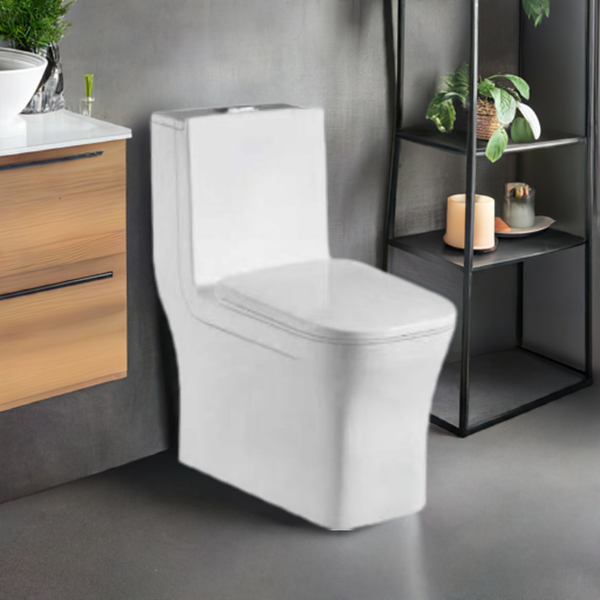 Arctic Solitude: Square One-Piece Toilet