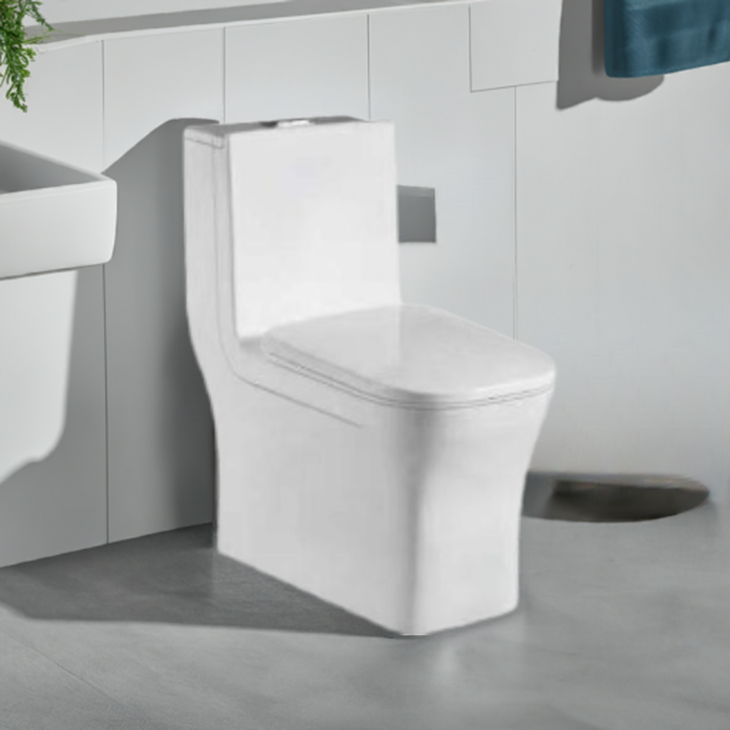 Arctic Solitude: Square One-Piece Toilet