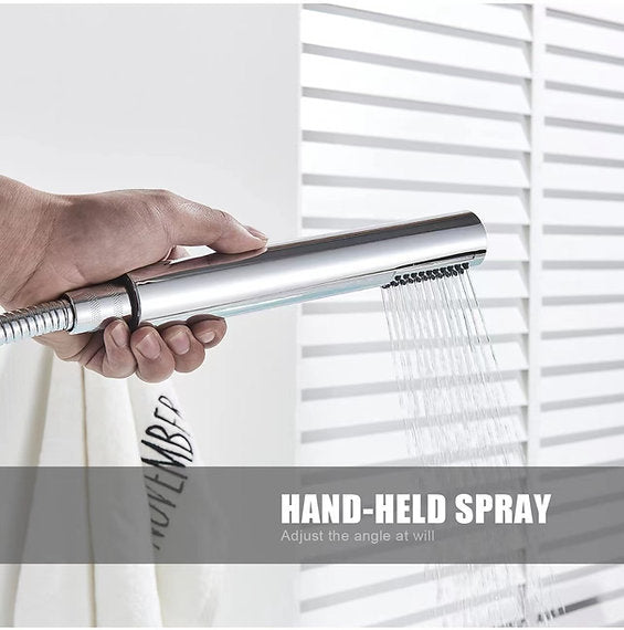 Chrome Hand Held Spray
