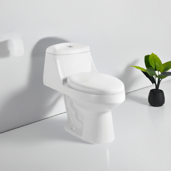 Petite Snowdrift: White One-Piece Compact Toilet