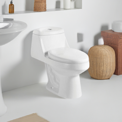 Petite Snowdrift: White One-Piece Compact Toilet