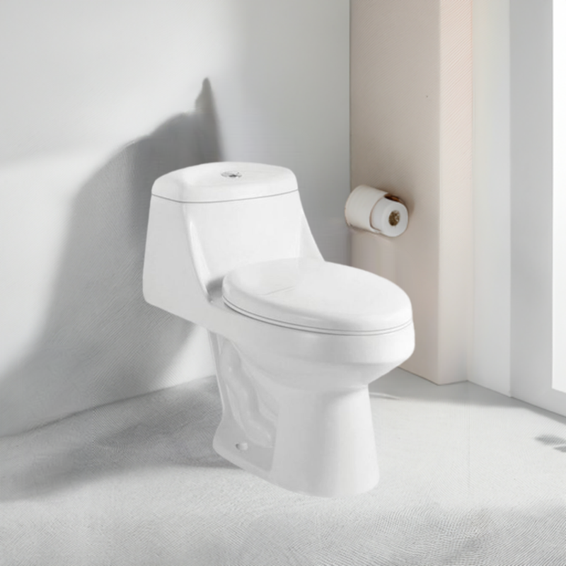 Petite Snowdrift: White One-Piece Compact Toilet